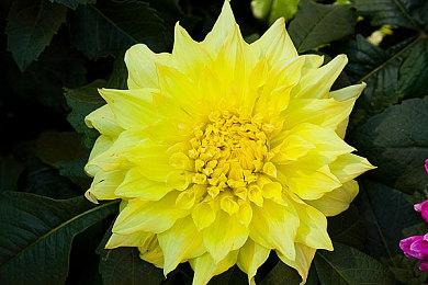 真人参演恐怖游戏《夜书》新预告 7月登陆全平台